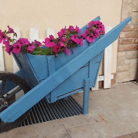 Corte Colli Antichi Bed & Breakfast
