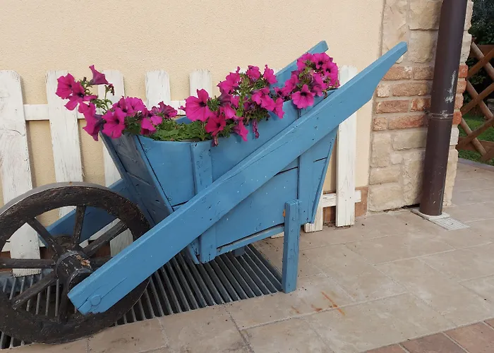 Corte Colli Antichi Bed & Breakfast